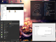 Cinnamon Cinnamon 3.2 no Slackware64 14.2